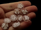 10 14mm White Flower Buttons Flat Round Floral Plastic Buttons Jewelry Making Beading Supplies Sewing Supplies