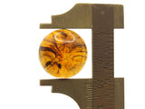 10 20mm Tortoise Shell Brown Vintage Lucite Plastic Round Flat Back Cabochons Jewelry Making Beading Supplies