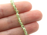 49 4mm Glass Bicones Green Beads Full Strand Jewelry Making Beading Supplies Bead Strand Loose Beads to String