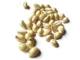 Cowrie Shell Beads Seashell Beads Natural Beads Jewelry Making Beading Supplies Drilled Beads Sea Shell Beads