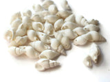White Shell Beads 17mm to 27mm Spiral Seashell Beads Natural Beads Jewelry Making Beading Supplies Beach Beads Sea Shell Beads Smileyboy