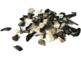 Black Lip Shells Bead Chips 1 oz. Sea Shell Beads Nugget Beads Black Shell Beads Grey Shell Beads Jewelry Making Beading Supplies Gray Beads