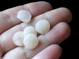 Ivory White Faux Druzy Cabochons 12mm Resin Cabochons Round Cabochons Jewelry Making Beading Scrapbooking Supplies Decoden Smileyboy