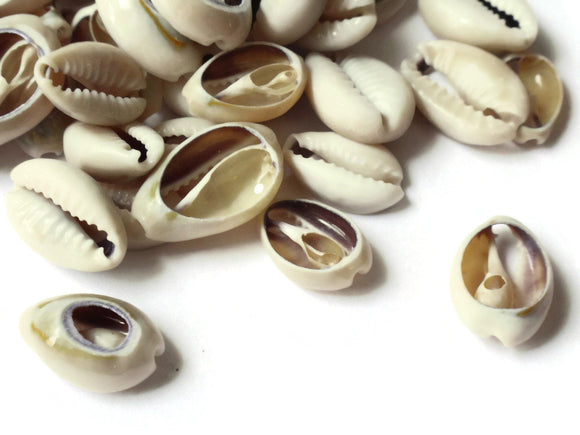 50 Back Cut Cowrie Shell Beads Natural Shell Beads Seashell Beads Beach Beads Jewelry Making Sea Shells Beading Supplies Brown Beads
