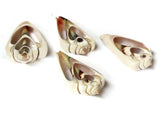 4 40mm to 54mm Sliced Shell Pendant Spiral Slice Beads Large Pendant Beach Beads Mermaid Beads Pendants Charms Seashell Pendant Smileyboy