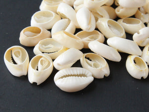 Back Cut Cowrie Shell Beads Natural White Shell Beads Seashell Beads Beach Beads Jewelry Making Sea Shells Beading Supplies Brown Beads