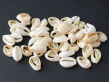 Back Cut Cowrie Shell Beads Natural White Shell Beads Seashell Beads Beach Beads Jewelry Making Sea Shells Beading Supplies Brown Beads