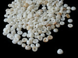 250 8mm Plastic Seashell Heishe Beads White and Cream Beads  Vintage Beads Jewelry Making Beading Supplies Smileyboy