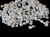 250 8mm Plastic Seashell Heishe Beads White and Cream Beads  Vintage Beads Jewelry Making Beading Supplies Smileyboy