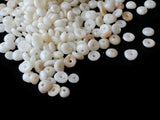 250 8mm Plastic Seashell Heishe Beads White and Cream Beads  Vintage Beads Jewelry Making Beading Supplies Smileyboy