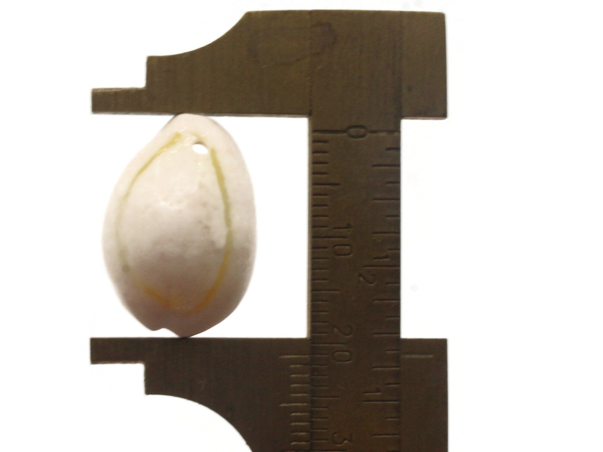 2* 18x12mm Bronze Patina Washed Matte White Sea Shell Beads – The