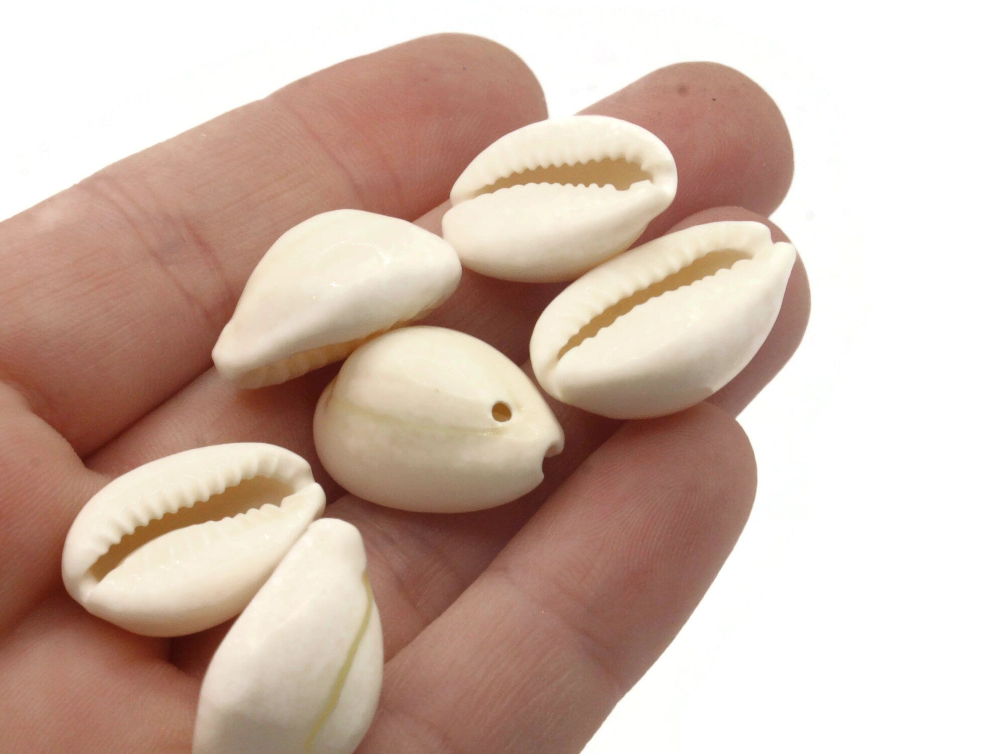20 20mm White Cowrie Natural Seashell Beads – Smileyboy Beads