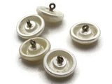 5 19mm Vintage White Plastic Pearl Shank Buttons Sewing Notions Jewelry Making Beading Supplies Sewing Supplies