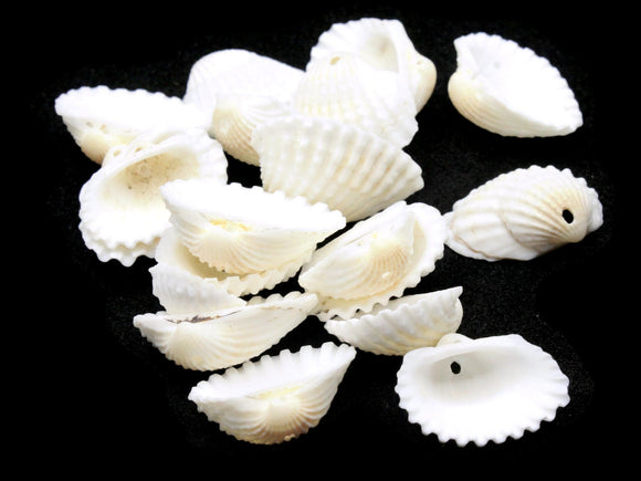 19 White Sea Shell Beads Oyster Shell Beads Jewelry Making Beading Supplies Beach Beads Vintage Mermaid Flat Shell Beads