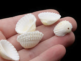 19 White Sea Shell Beads Oyster Shell Beads Jewelry Making Beading Supplies Beach Beads Vintage Mermaid Flat Shell Beads